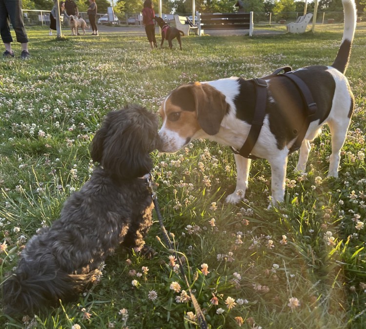 Edison-Metuchen Community Dog Park (Edison,&nbspNJ)